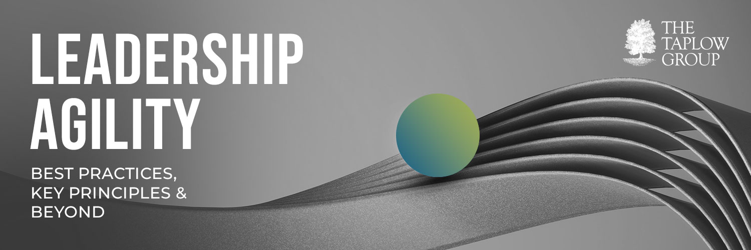 Leadership Agility: Best Practices, Key Principles & Beyond