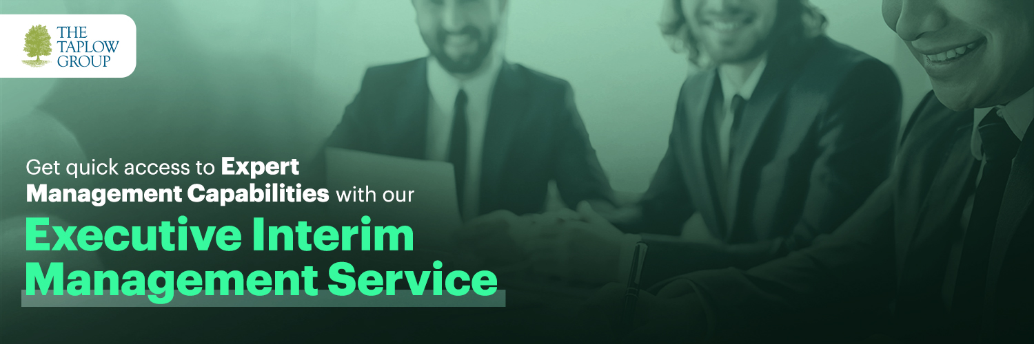 Get Quick Access To Expert Management Capabilities With Our Executive Interim Management Services