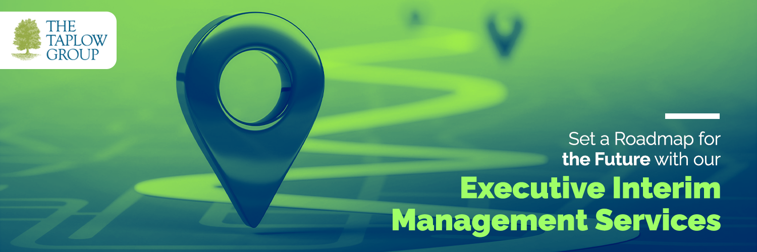 Set a Roadmap for the Future With Our Executive Interim Management Services