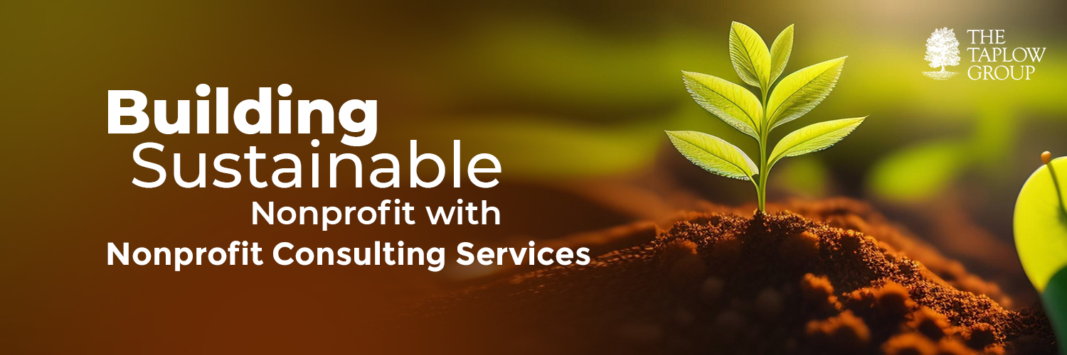 Building Sustainable Nonprofits with Nonprofit Consulting Services