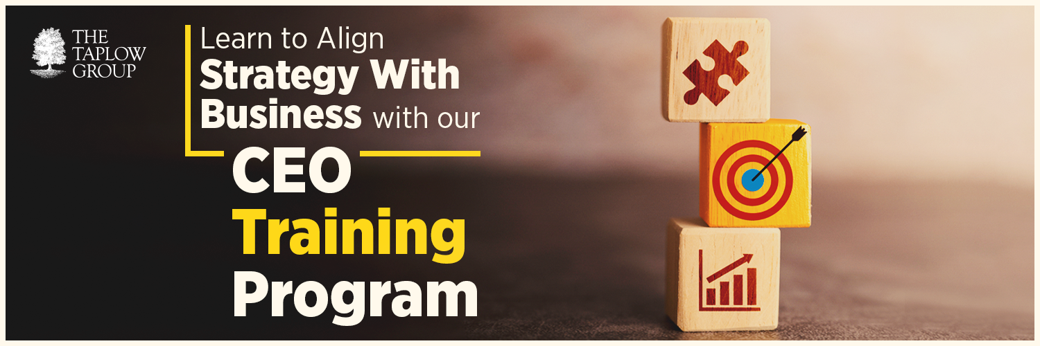 Learn to Align Strategy With Business with Our CEO Training Program