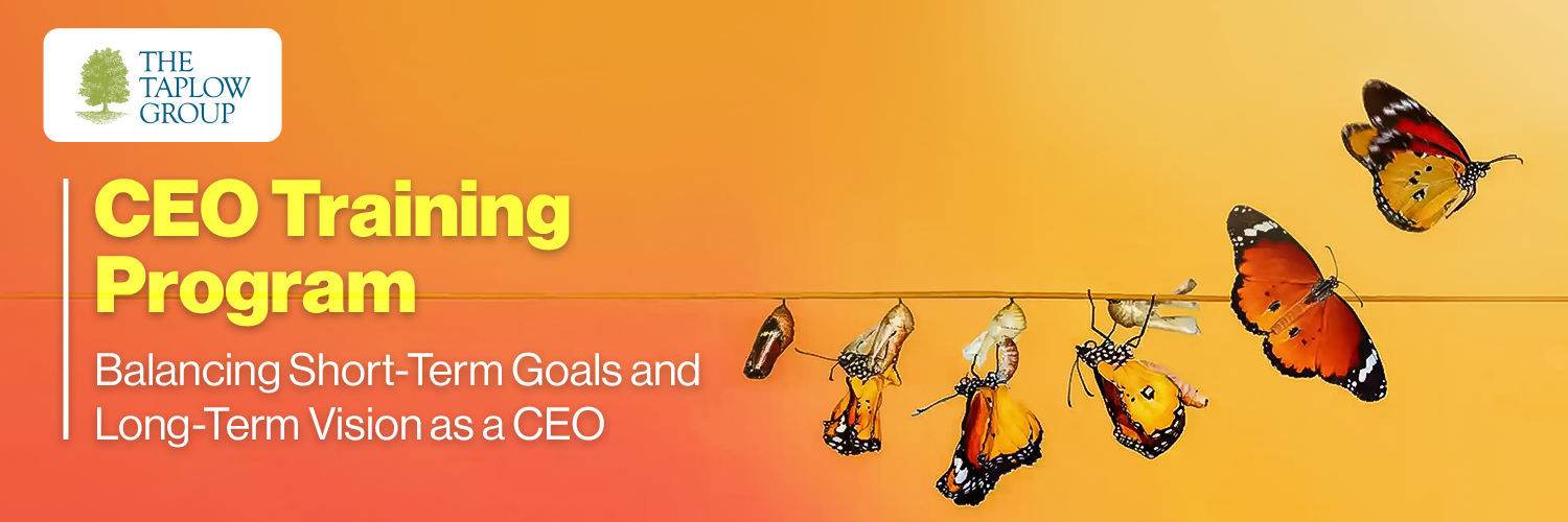 CEO Training Program - Balancing Short-Term Goals and Long-Term Vision as a CEO