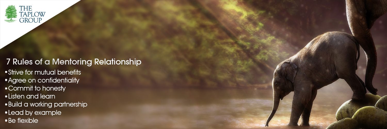 7 Rules of a Mentoring Relationship