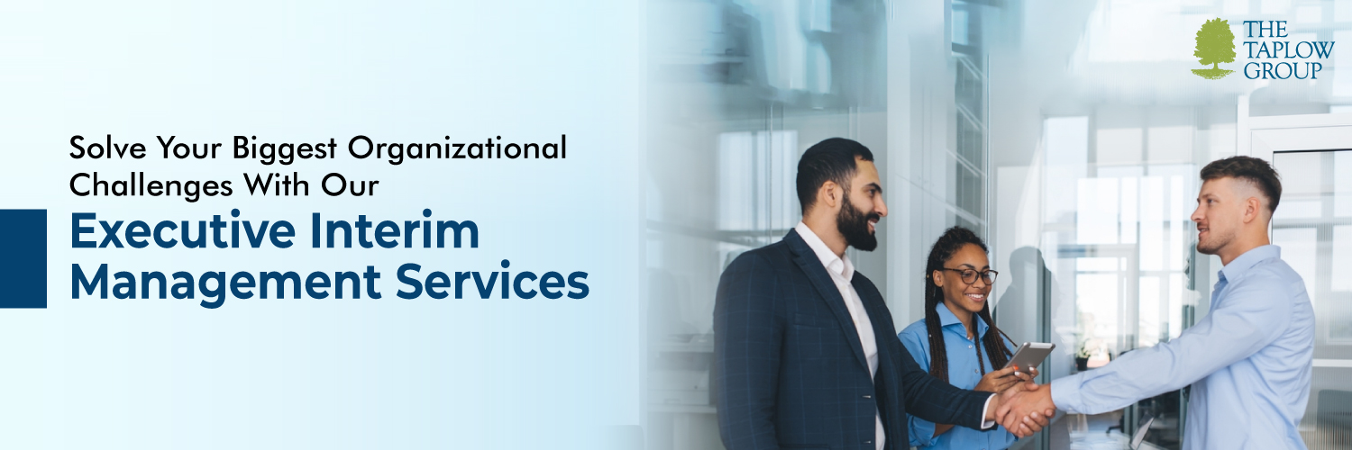 Solve Your Biggest Organizational Challenges With Our Executive Interim Management Services
