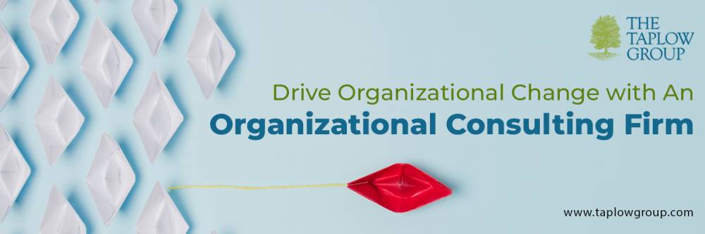 Drive Organizational Change with An Organizational Consulting Firm