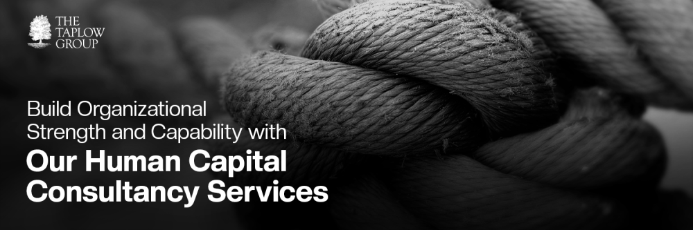 Build Organizational Strength and Capability with Our Human Capital Search Services