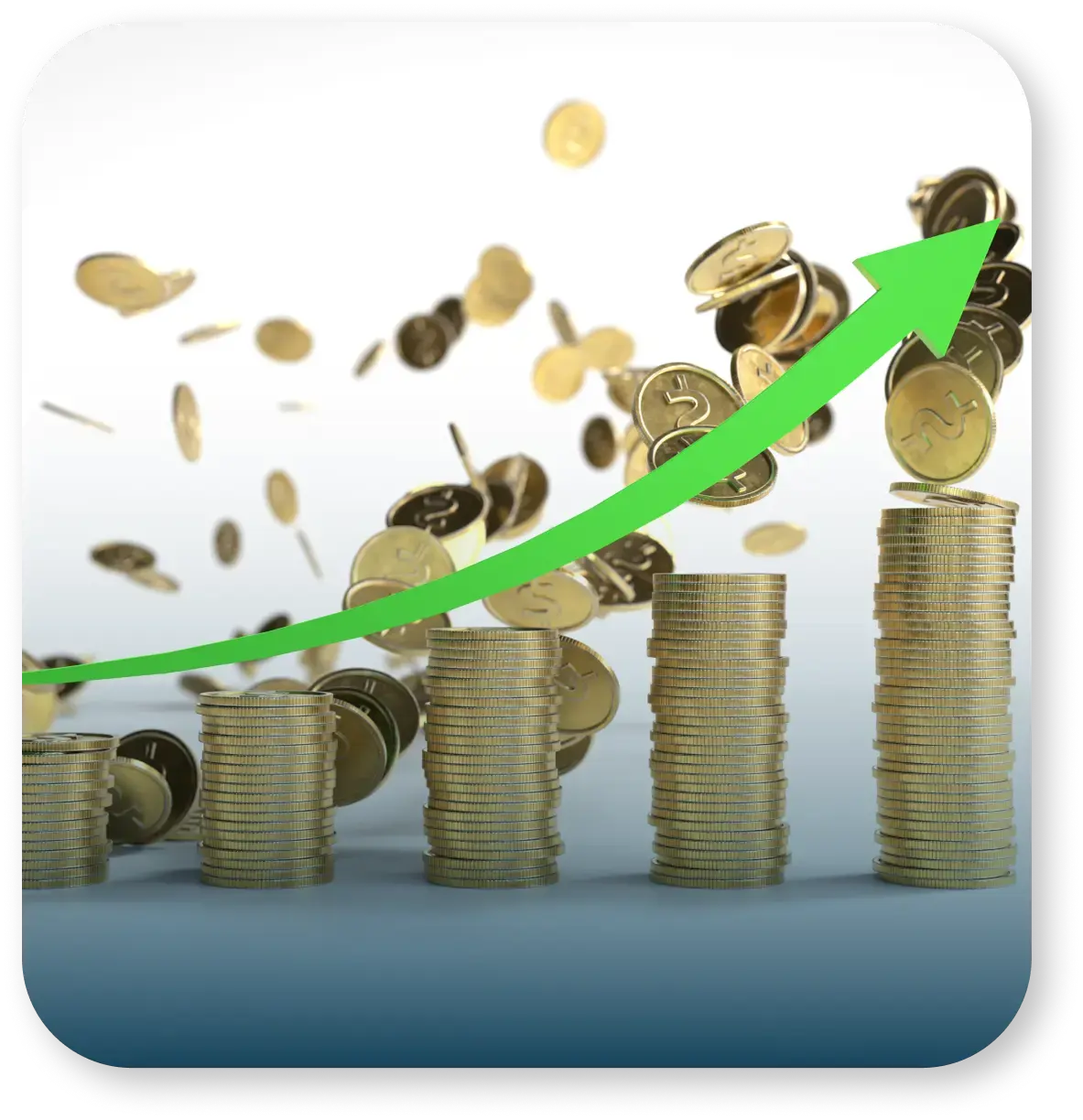 Investment