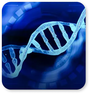 Life Sciences