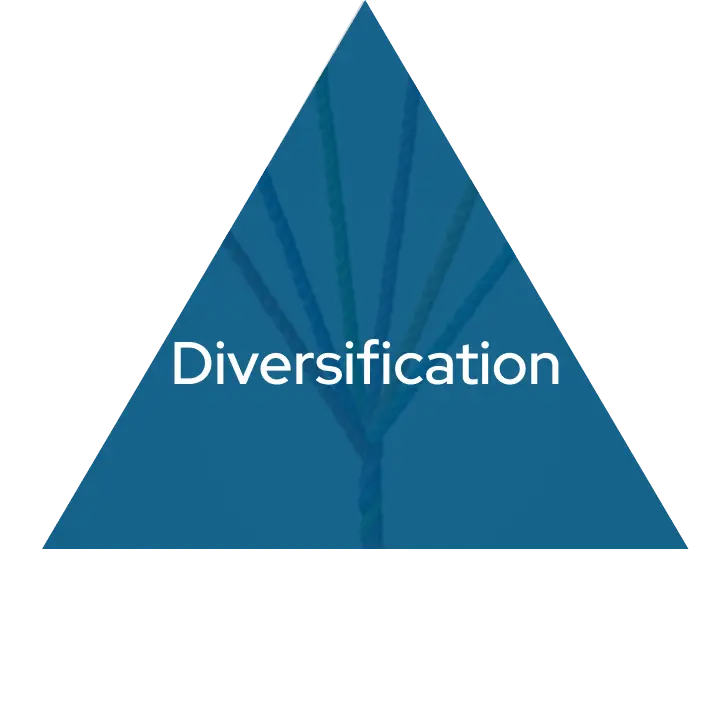 Diversification