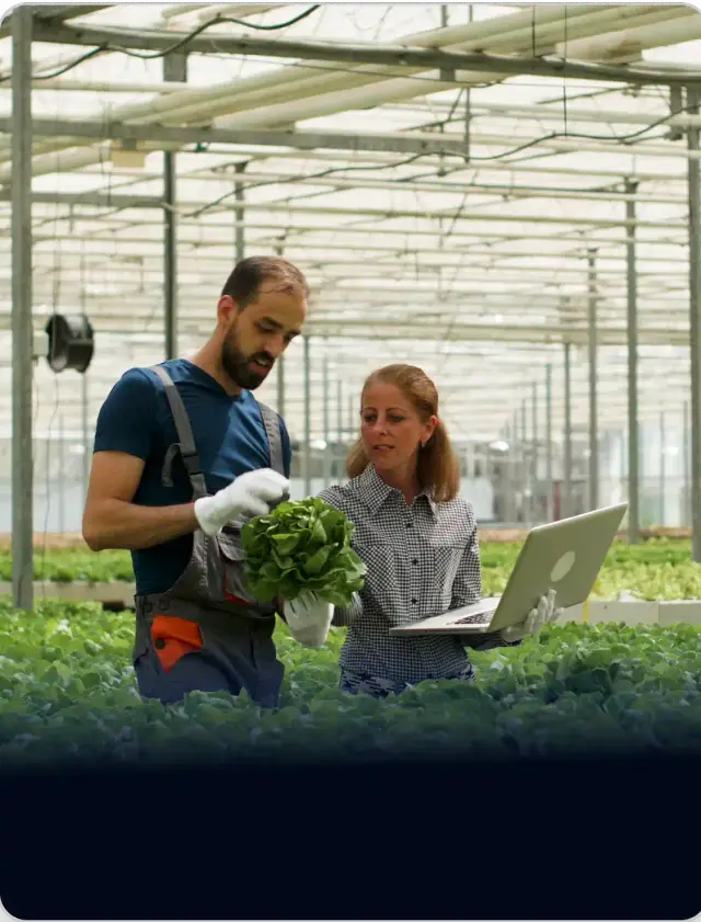 Agriculture Sector Development