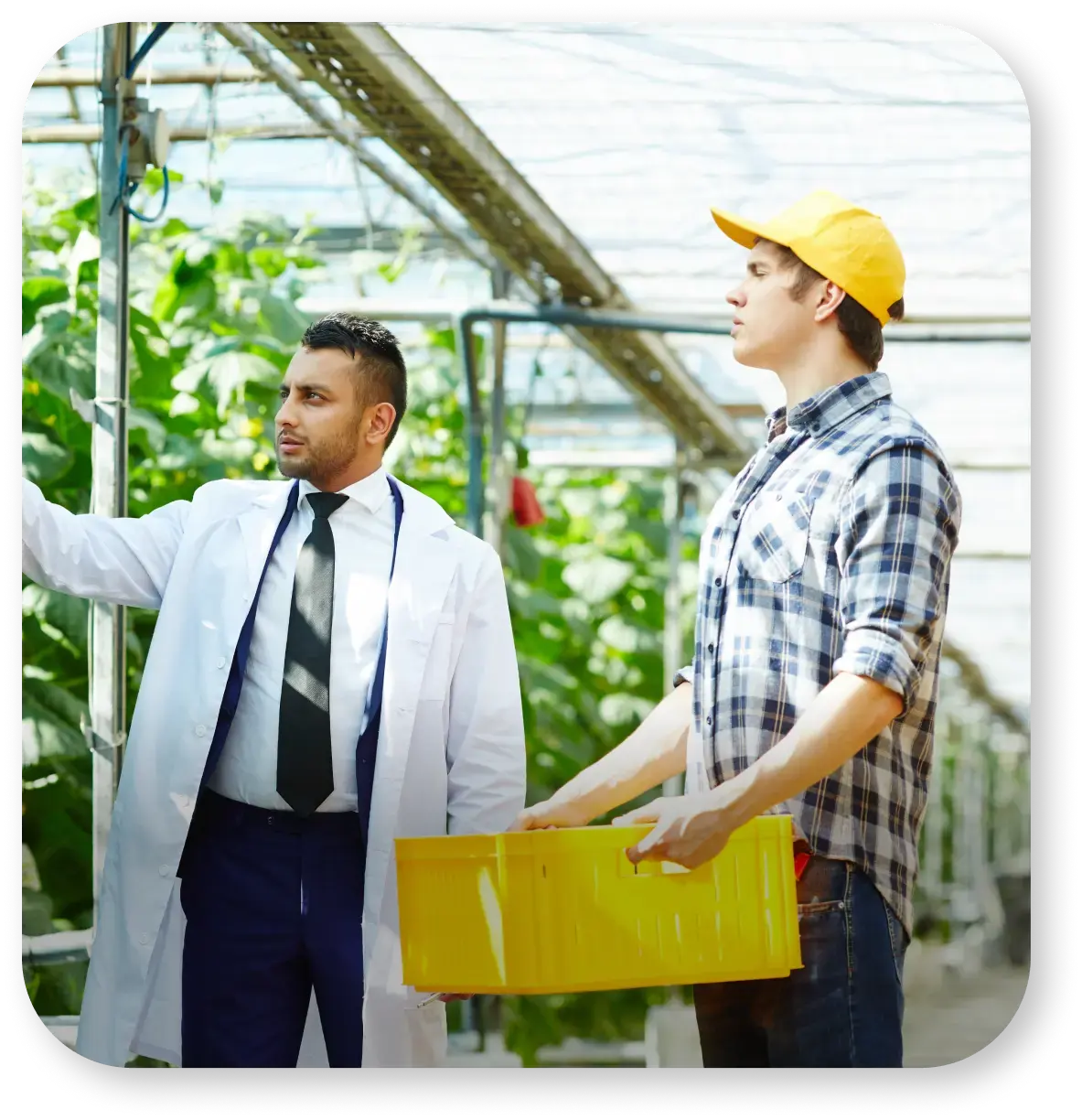 Agribusiness & Production