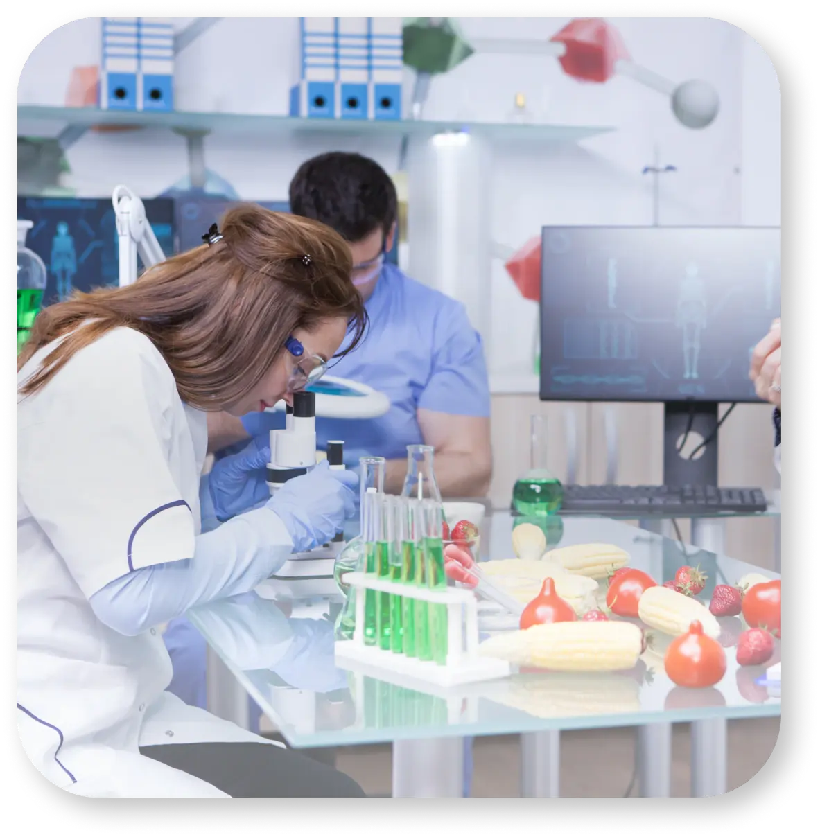 Healthcare, Pharmaceuticals & Lifesciences